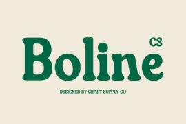CS Boline Demo Font