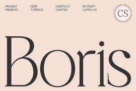 CS Boris Demo Font