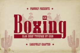 CS Boxing Demo Font