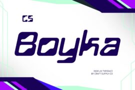 CS Boyka Demo Font