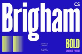 CS Brigham Demo Font