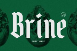 CS Brine Demo Font