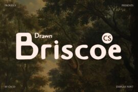 CS Briscoe Drawn Demo Font