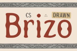 CS Brizo Drawn Demo Font
