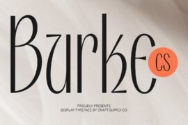 CS Burke Demo Font