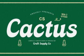 CS Cactus Demo Font