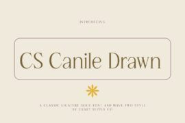 CS Canile Drawn Demo Font Family