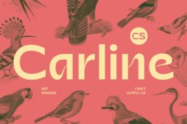 CS Carline Demo Font