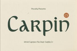 CS Carpin Demo Font
