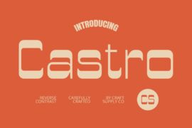 CS Castro Demo Font