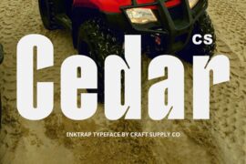 CS Cedar Demo Font