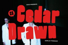 CS Cedar Drawn Demo Font