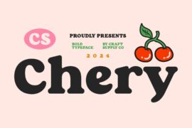 CS Chery Demo Font