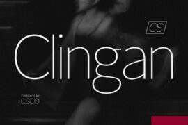CS Clingan Demo Font