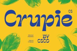 CS Crupie Demo Font