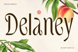 CS Delaney Demo Font