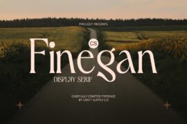 CS Finegan Demo Font