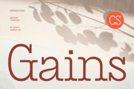 CS Gains Demo Font