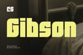 CS Gibson Demo Font