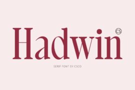 CS Hadwin Demo Font