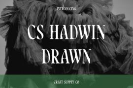 CS Hadwin Drawn Demo Font