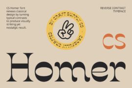 CS Homer Demo Font