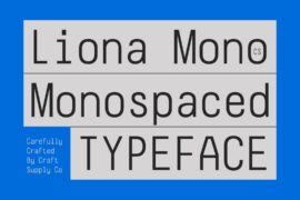 CS Liona Mono Demo Font