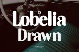 CS Lobelia Drawn Demo Font