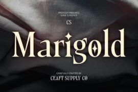 CS Marigold Demo Font