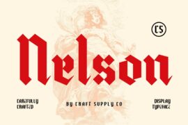 CS Nelson Demo Font