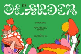 CS Olander Demo Font