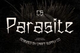 CS Parasite Demo Font
