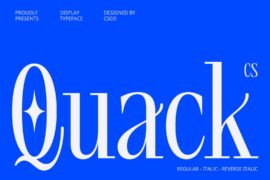 CS Quack Demo Font