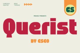 CS Querist Demo Font