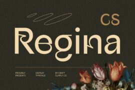 CS Regina Demo Font