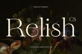 CS Relish Demo Font