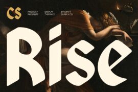 CS Rise Demo Font