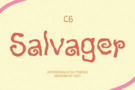 CS Salvager Demo Font