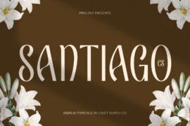 CS Santiago Demo Font