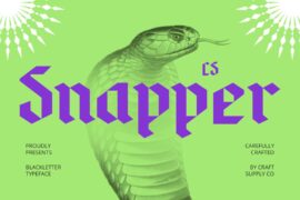 CS Snapper Demo Font