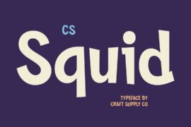 CS Squid Demo Font