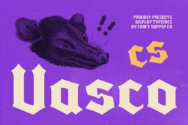 CS Vasco Demo Font