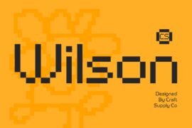 CS Wilson Demo Font