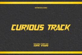 CuriousTrackDemo Font