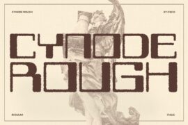 Cynode Rough Demo Font
