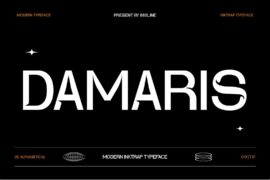 Damaris Demo Font