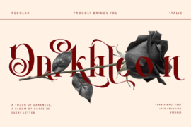 Darkbloom-Personal use Font