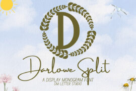 Darlowe Monogram Font