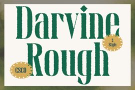 Darvine Rough Demo Font