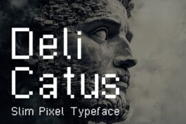 Delicatus Font